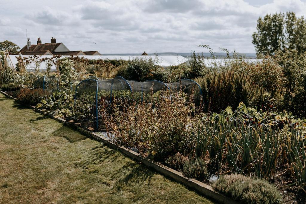 The Ferry House Bed & Breakfast Eastchurch Eksteriør bilde